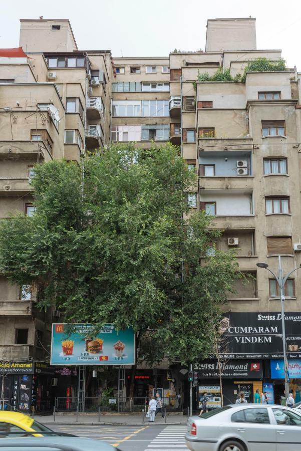 Petite Maison Sur Le Boulevard Бухарест Экстерьер фото